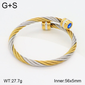 2BA402087vbpb-387  Stainless Steel Bangle