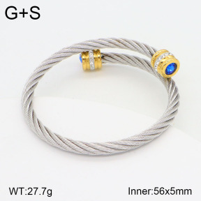 2BA402088vbnl-387  Stainless Steel Bangle