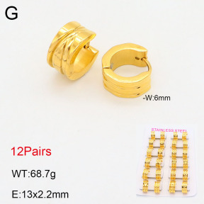 2E2005540alka-387  Stainless Steel Earrings