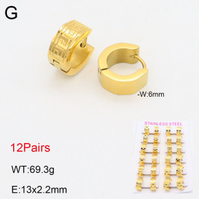 2E2005541alka-387  Stainless Steel Earrings