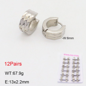 2E2005544akia-387  Stainless Steel Earrings