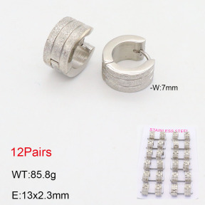 2E2005545akia-387  Stainless Steel Earrings