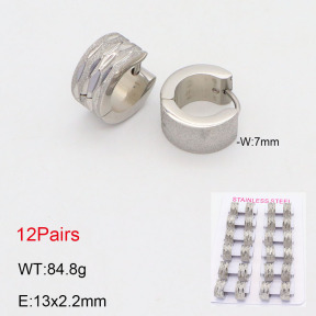 2E2005546akia-387  Stainless Steel Earrings