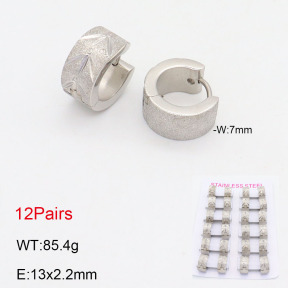 2E2005547akia-387  Stainless Steel Earrings