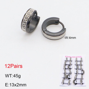 2E2005548akia-387  Stainless Steel Earrings