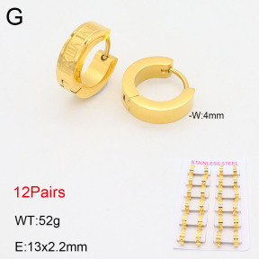 2E2005549alka-387  Stainless Steel Earrings
