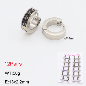 2E2005550akoa-387  Stainless Steel Earrings