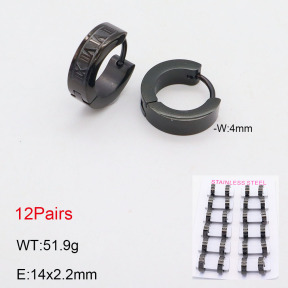 2E2005551alka-387  Stainless Steel Earrings