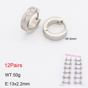 2E2005552ajia-387  Stainless Steel Earrings