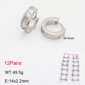 2E2005553akia-387  Stainless Steel Earrings