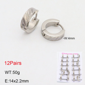 2E2005554akia-387  Stainless Steel Earrings
