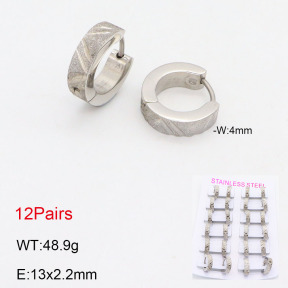 2E2005555akia-387  Stainless Steel Earrings