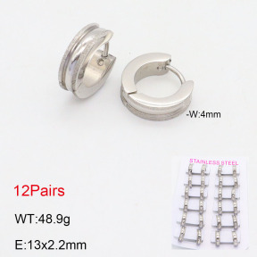 2E2005556akia-387  Stainless Steel Earrings