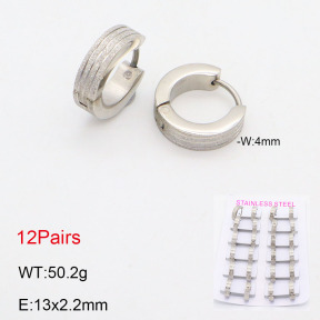 2E2005557akia-387  Stainless Steel Earrings