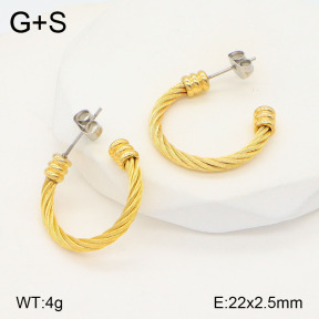 2E2005559vhha-722  Stainless Steel Earrings