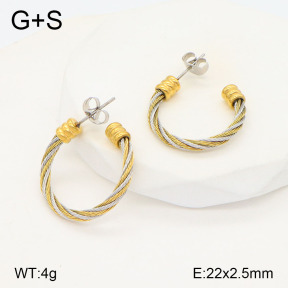 2E2005560bhva-722  Stainless Steel Earrings