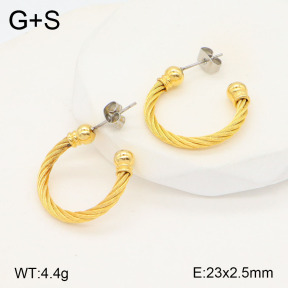 2E2005561vhha-722  Stainless Steel Earrings