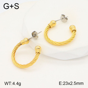 2E2005562vhha-722  Stainless Steel Earrings