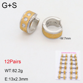 2E4004158bmmb-387  Stainless Steel Earrings
