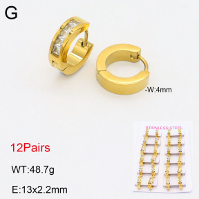 2E4004159amaa-387  Stainless Steel Earrings