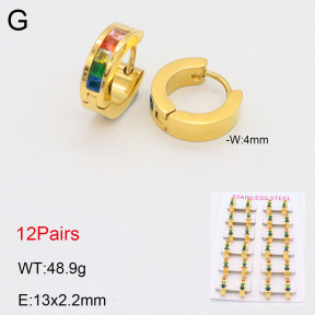 2E4004160amaa-387  Stainless Steel Earrings