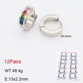 2E4004161akoa-387  Stainless Steel Earrings
