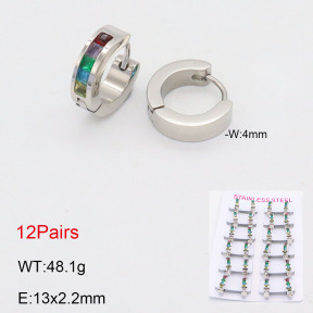 2E4004162akoa-387  Stainless Steel Earrings