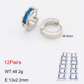 2E4004163akoa-387  Stainless Steel Earrings