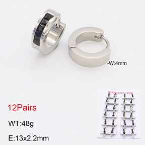 2E4004164akoa-387  Stainless Steel Earrings
