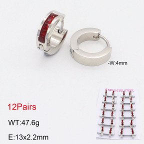2E4004165akoa-387  Stainless Steel Earrings