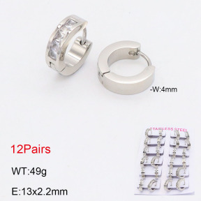 2E4004166akoa-387  Stainless Steel Earrings
