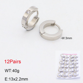 2E4004167ajma-387  Stainless Steel Earrings
