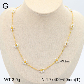 2N3002334bvpl-641  Stainless Steel Necklace