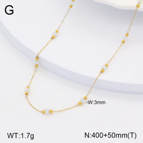 2N4003668bvpl-641  Stainless Steel Necklace
