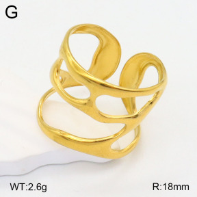 2R2001527vail-395  Stainless Steel Ring