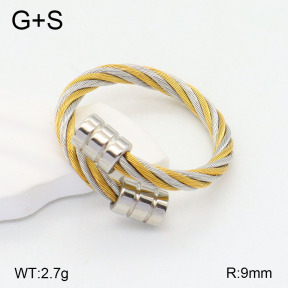 2R2001559vbpb-722  Stainless Steel Ring