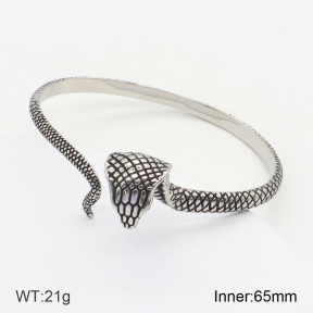 2BA201844aiov-764  Stainless Steel Bangle