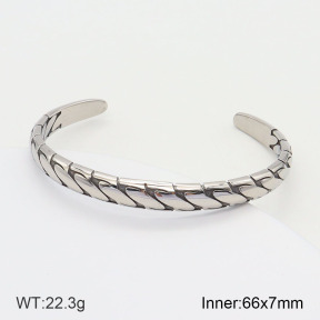 2BA201849vila-764  Stainless Steel Bangle