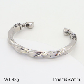 2BA201852vila-764  Stainless Steel Bangle