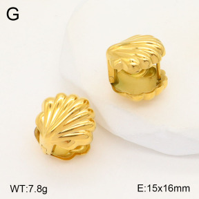 2E2005563bhva-770  Stainless Steel Earrings