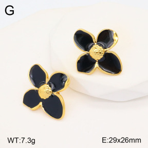 2E3003185ablb-741  Stainless Steel Earrings
