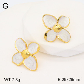 2E3003186ablb-741  Stainless Steel Earrings