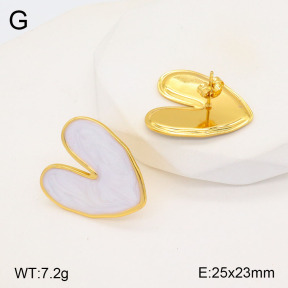 2E3003188ablb-741  Stainless Steel Earrings
