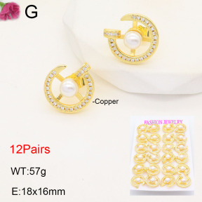 F2E401945amaa-J22  Fashion Copper Earrings