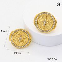 GEE002572bhva-066  316 Pin Czech Stones,Handmade Polished  Stainless Steel Earrings   BC25030061E