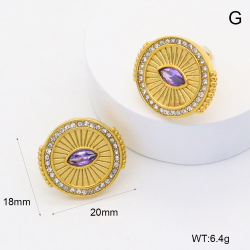 GEE002573bhva-066  316 Pin Czech Stones & Zircon,Handmade Polished  Stainless Steel Earrings   BC25030062E