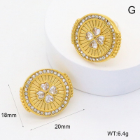 GEE002574bhva-066  316 Pin Czech Stones & Zircon,Handmade Polished  Stainless Steel Earrings   BC25030055E-2
