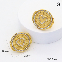 GEE002575bhva-066  316 Pin Czech Stones,Handmade Polished  Stainless Steel Earrings   BC25030058E