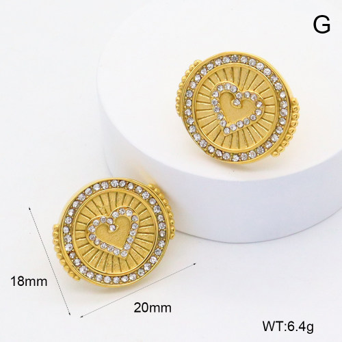 GEE002575bhva-066  316 Pin Czech Stones,Handmade Polished  Stainless Steel Earrings   BC25030058E