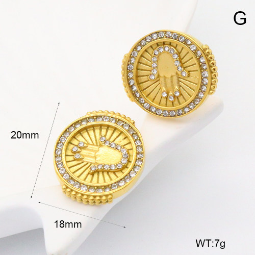 GEE002581bhva-066  316 Pin Czech Stones,Handmade Polished  Stainless Steel Earrings   BC25030057E
